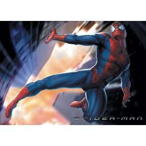  Spider Man Movie Poster