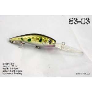   Silver Crankbait Fishing Lure for Northern Pike