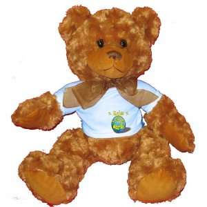   Rylee Rocks My World Plush Teddy Bear with BLUE T Shirt Toys & Games