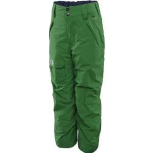  THE NORTH FACE Boys Freedom Insulated Pants Sports 