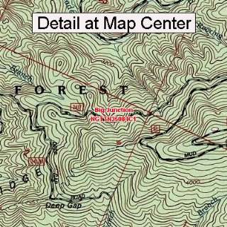  USGS Topographic Quadrangle Map   Big Junction, Tennessee 