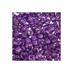   Delica Seed Bead 11/0 Galvanized Grape (3 Gram Tube) Beads Home