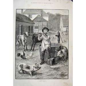 Rustic Apollo Boy Farm Whistle Animals 1885 Old Print 