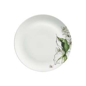  Wedgwood FLORAL LEAF Salad Plate 9 In