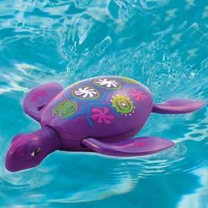  Rainbow Reef Turtle Toys & Games