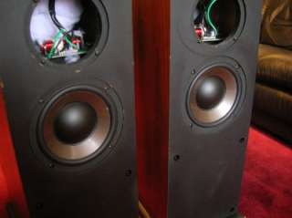  Model VI, Highend, Audiophile Speaker System Needs TLC  