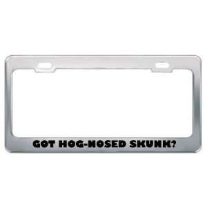 Got Hog Nosed Skunk? Animals Pets Metal License Plate Frame Holder 