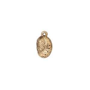  TierraCast Antique Gold (plated) Abalone Charm 9x16mm 