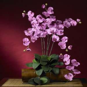  Phalaenopsis Silk Orchid Flower w/Leaves (6 Stems)