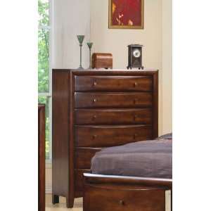  Storage Chest Contemporary Style in Warm Brown Finish 