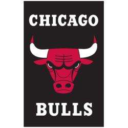 Chicago Bulls Nylon Banner Flag  
