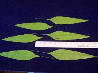 Vintage Millinery Flower Organdy Leaf Lot of Six very long 2x9 #12 