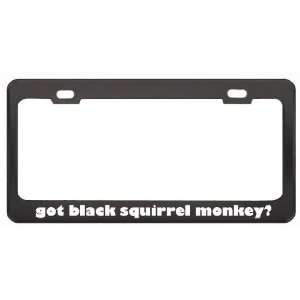 Got Black Squirrel Monkey? Animals Pets Black Metal License Plate 