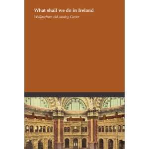   What shall we do in Ireland Wallace. from old catalog Carter Books