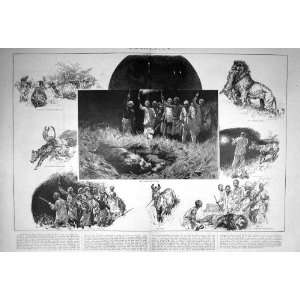  1904 NIGHT HUNTING SCENE LION SOMALILAND SHOOTING SPORT 