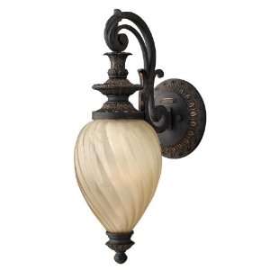   Outdoor Wall Sconce Lighting, 100 Total Watts, Iron