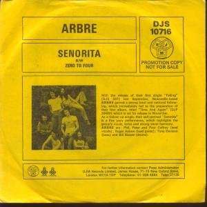  SENORITA 7 INCH (7 VINYL 45) UK DJM 1976 ARBRE Music