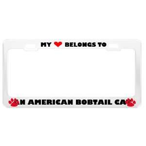 An American Bobtail Cat Pet White Metal License Plate Frame Tag Holder