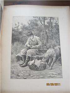 This auction is for an antique McLoughlin childrens book in fair 