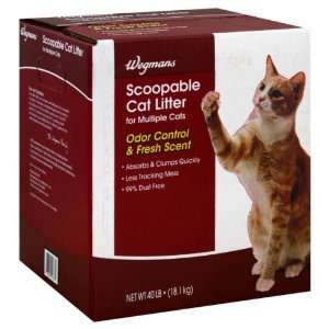  Wgmns Cat Litter, Scoopable, for Multiple Cats, 40 Lb 