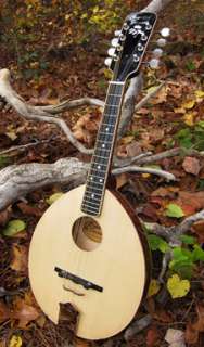 Flat top mandolin plans  