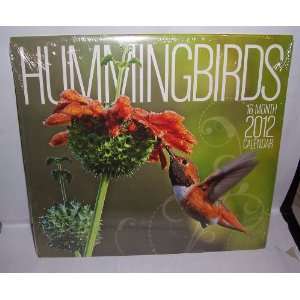  2012 16 Month Wall Calendar   Hummingbirds Office 
