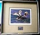 1986 Federal Duck Stamp Print, Mint stamp
