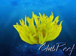 Yellow Sea Anemone Replica Reef Aquarium Decor  