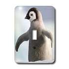 3dRose LLC Birds   Baby Penguin   Light Switch Covers   single toggle 