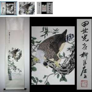 Chinese hanging Painting & Scroll hawk  