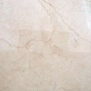  12 x 12 Polished Marble Tile in Crema Marfil