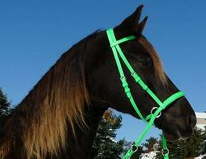 AUTHENTIC DR COOK BITLESS BRIDLE W/ REINS IN NEW BETA COLORS CHOOSE 