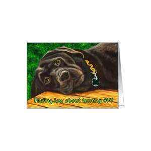  Funny Birthday ~ 49 Years Old ~ Labrador Dog Card Toys 