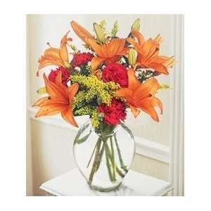  Tigress Bouquet Baby