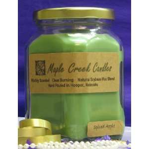   Candles SPICED APPLE ~ Apples and Spice ~ Soy Wax Blend 13oz candle