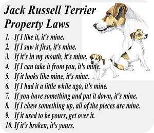 JACK RUSSELL TERRIER DOG PROPERTY   COMPUTER MOUSE PAD  