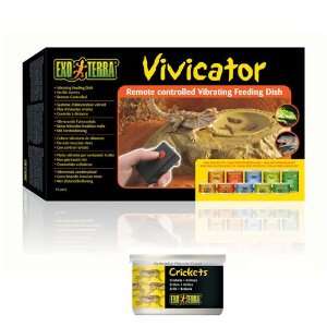   Exo Terra PT2832 Vivicator Vibrating Dish With Cricket
