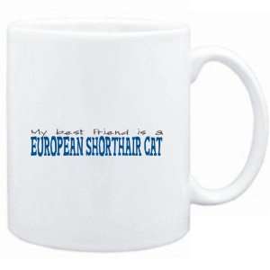 Mug White  My best friend is a European Shorthair  Cats  