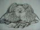 Snowy Owl Stone Lithograph signed by Gary Lyon , Alaska  