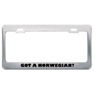   Norwegian? Nationality Country Metal License Plate Frame Holder Border