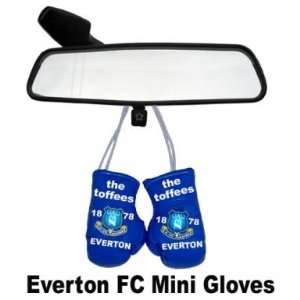 Everton FC Mini Boxing Gloves
