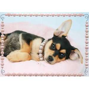  Chihuahua in Pearls Friendship Card Health & Personal 