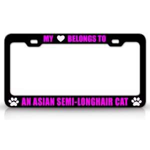 MY HEART BELONGS TO AN ASIAN SEMI LONGHAIR Cat Pet Auto License Plate 