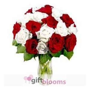 24 Red & White Roses  Grocery & Gourmet Food