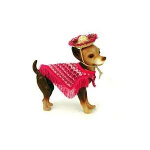  Popular NY Times Featured Raspberry Striped Dog Poncho 