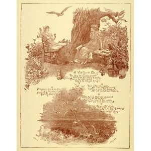  1894 Print Poem Sea Gull Seagull Victorian Women 