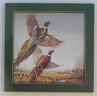 Pheasants Meadow Birds Framed Pheasant Picture Art  