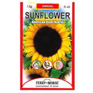 Ferry Morse Sunflower American Giant Seed (1950) from  