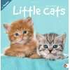 Little Cats, Broschürenkalender 2011  Monika Wegler 