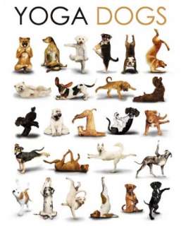 Fun   Yoga Posen Hunde Tierposter Poster Plakat #54622  